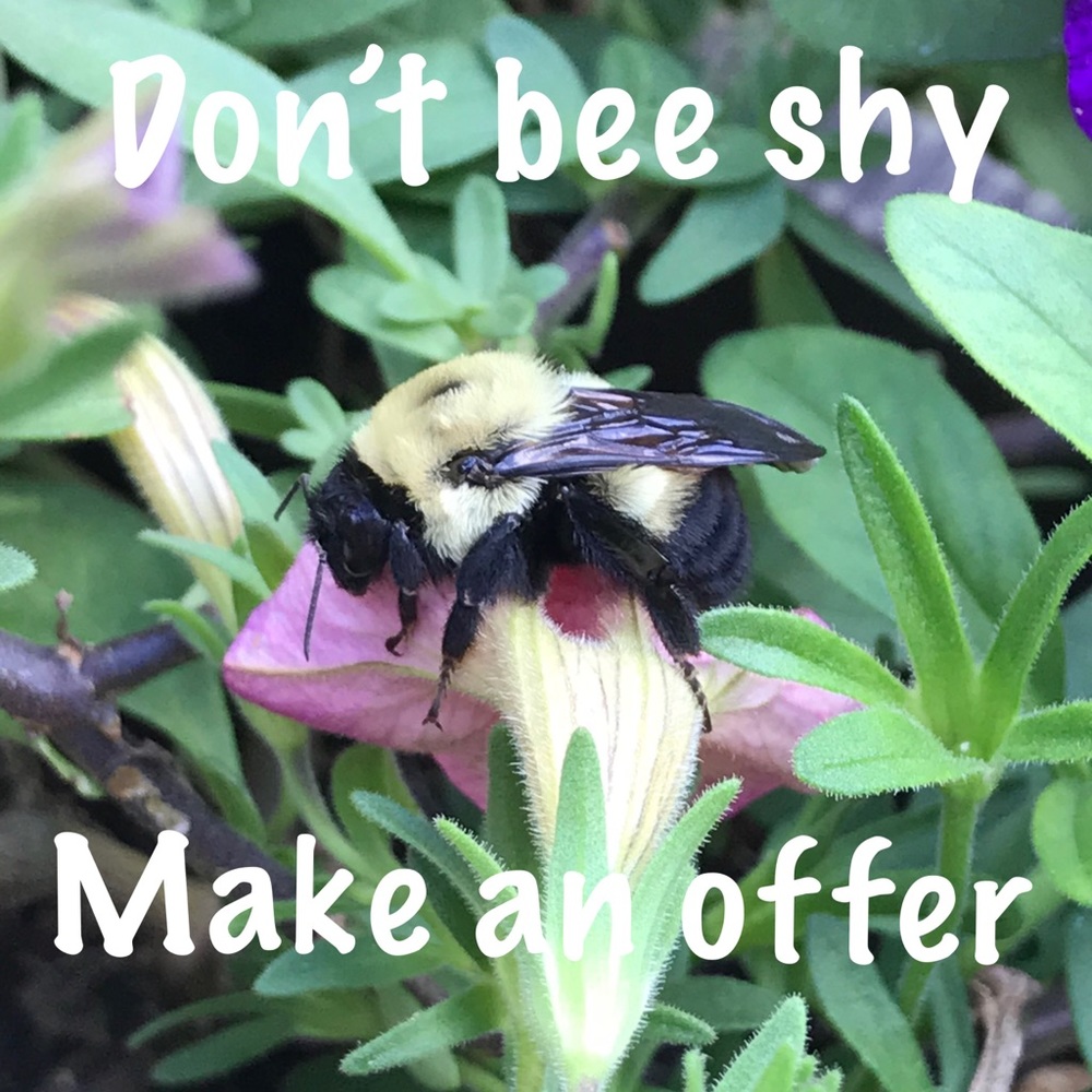 🐝 Buzz on in!  The Offer button is waiting! 🐝